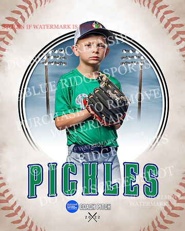 PICKLES 043 of 43