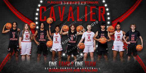 one_team_36x72