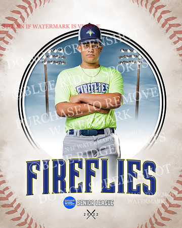 FIREFLIES 014 of 18