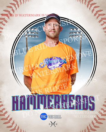 HAMMERHEADS 041 of 42