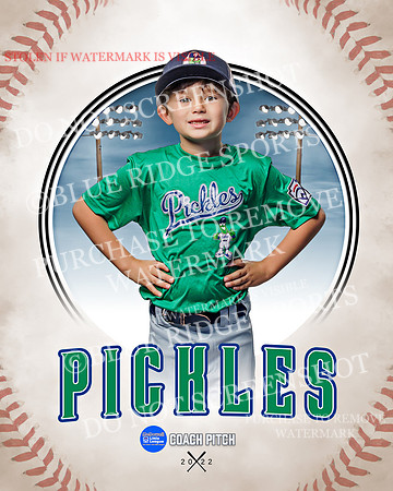 PICKLES 024 of 43