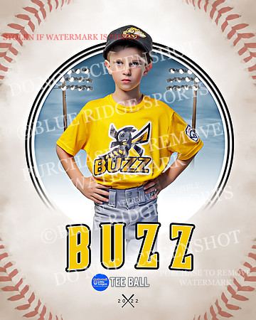 BUZZ 027 of 33