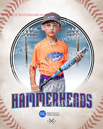 HAMMERHEADS 021 of 42