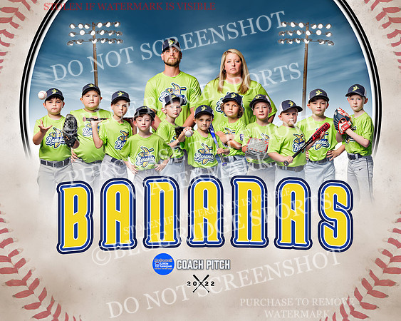 1 bananas.team