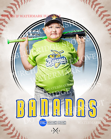 BANANAS 038 of 41