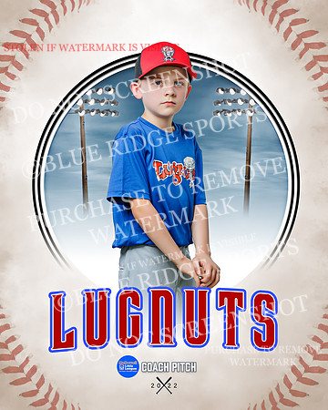 LUGNUTS 037 of 40