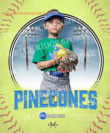 PINECONES 017 of 41