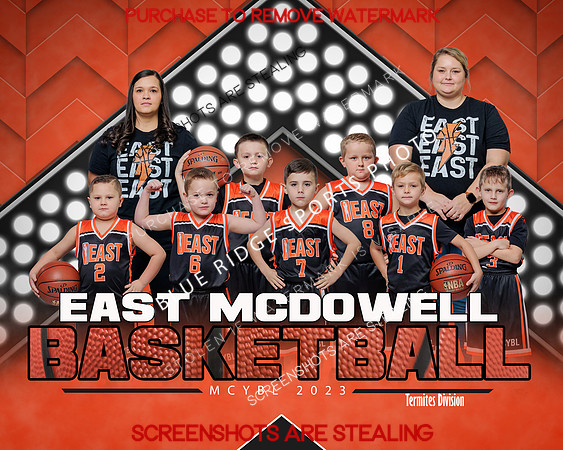 EAST.termites.team.wheeler