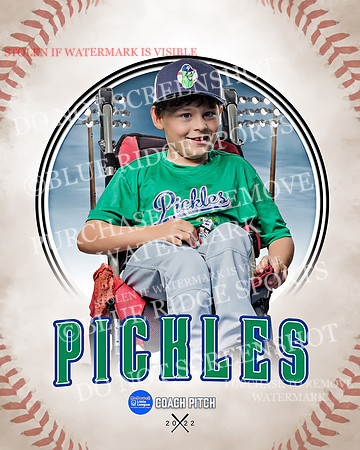 PICKLES 028 of 43