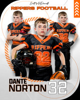 DNORTON