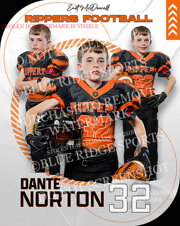 DNORTON