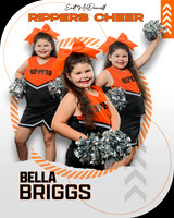 bbriggs