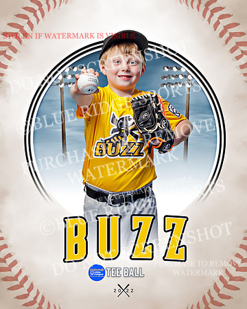 BUZZ 020 of 33