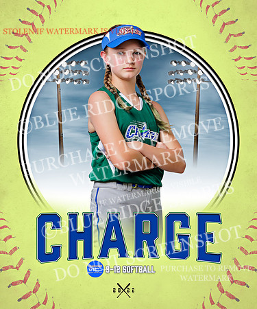 CHARGE 040 of 52