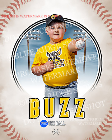 BUZZ 003 of 33