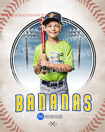 BANANAS 034 of 41