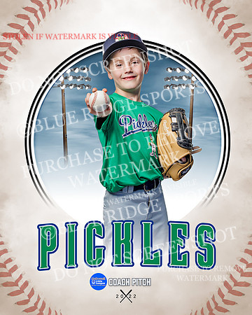 PICKLES 009 of 43
