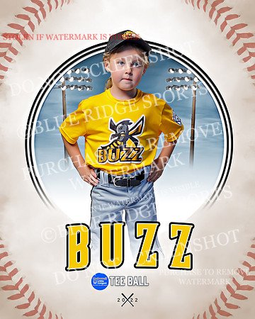 BUZZ 014 of 33