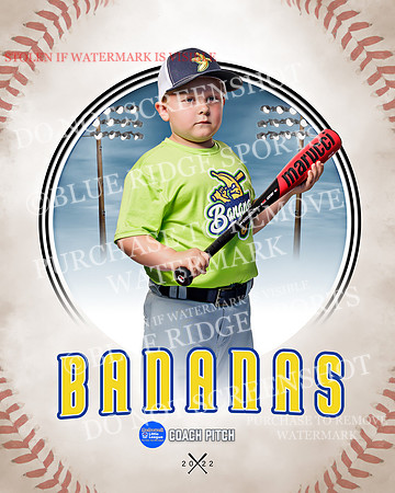 BANANAS 015 of 41