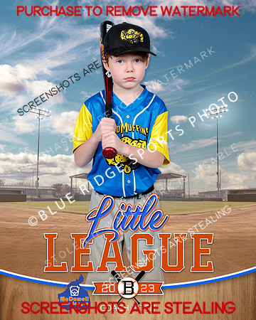 STUDMUFFINS.CP.BASEBALL 006 of 14