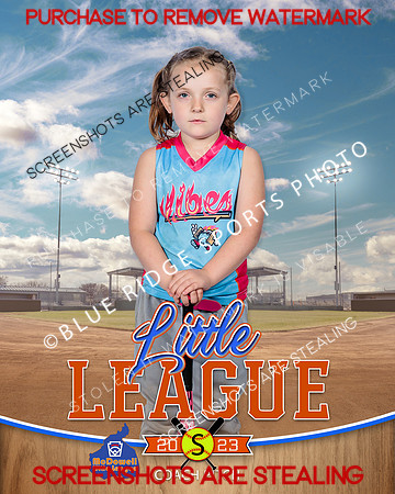 VIBES.CP.SOFTBALL 005 of 12