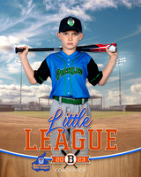 PICKLES.CP.BASEBALL 002 of 14