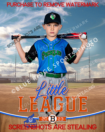 PICKLES.CP.BASEBALL 002 of 14