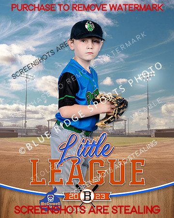 PICKLES.CP.BASEBALL 010 of 14