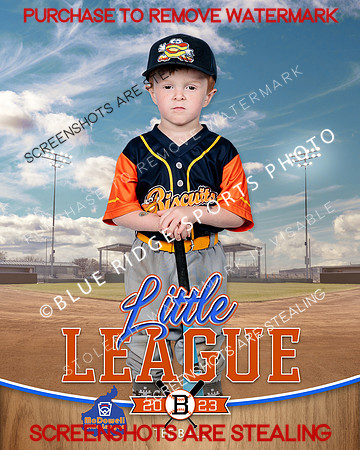 BISCUITS.TBALL 013 of 14