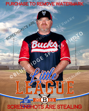 BUCKS.MAJORS.BASEBALL 011 of 12