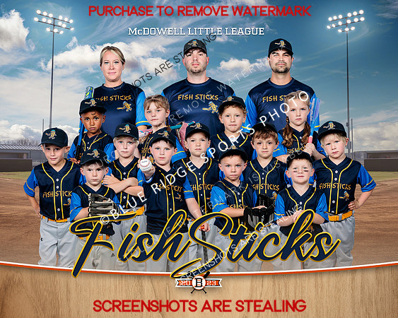 1 Fishsticks