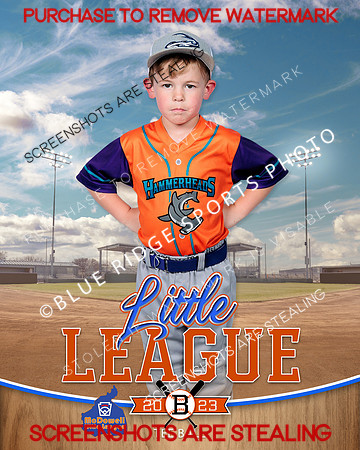 HAMMERHEADS.TBALL 008 of 12
