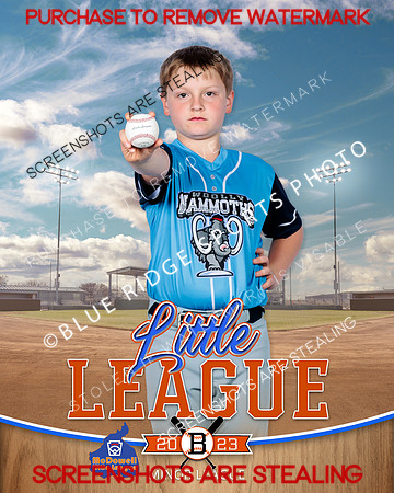 MAMMOTHS.MINORS.BASEBALL 003 of 9