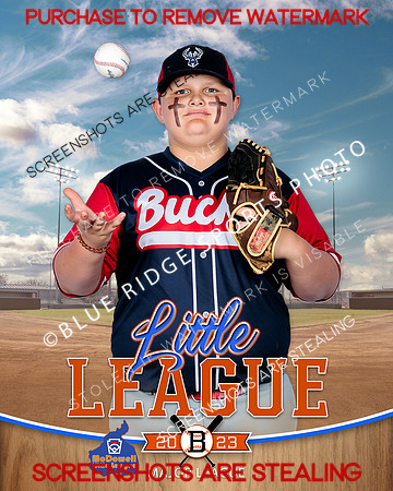 BUCK.INDV 006 of 10