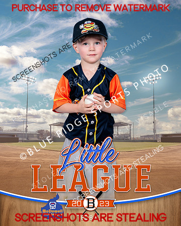 BISCUITS.TBALL 004 of 14