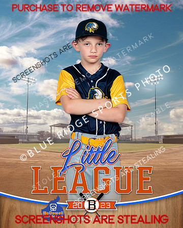 LEGALEAGLES.CP.BASEBALL 006 of 12