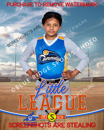 COMMOTION.MINORS.SOFTBALL 004 of 10