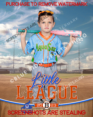 AQUASOCKS.TBALL 008 of 15