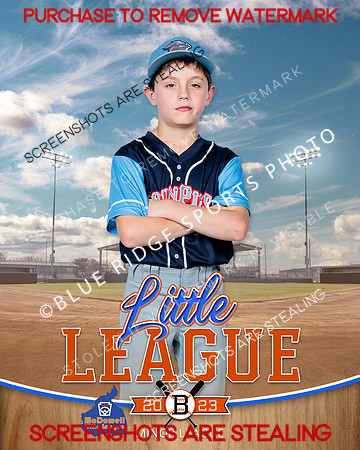 IRONPIGS.MINORS.BASEBALL 003 of 11