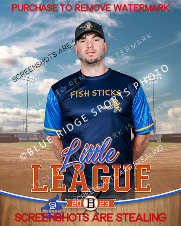 FISHSTICKS.TBALL 011 of 16