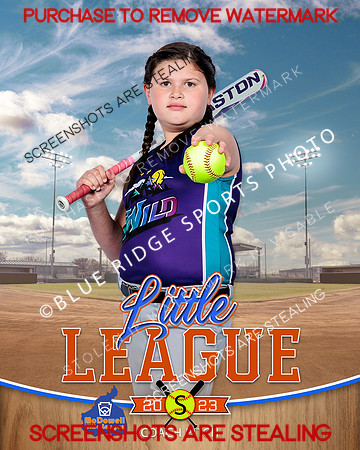 WILD.CP.SOFTBALL 003 of 14