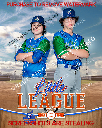 YARDGOATS.INDV 006 of 8