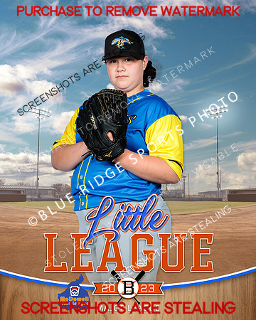 SKEETERS.MAJORS.BASEBALL 003 of 4