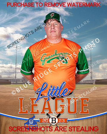 GRASSHOPPERS.MAJORS.BASEBALL 006 of 11
