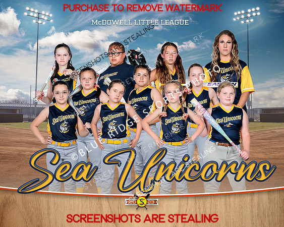 1 sea unicorns