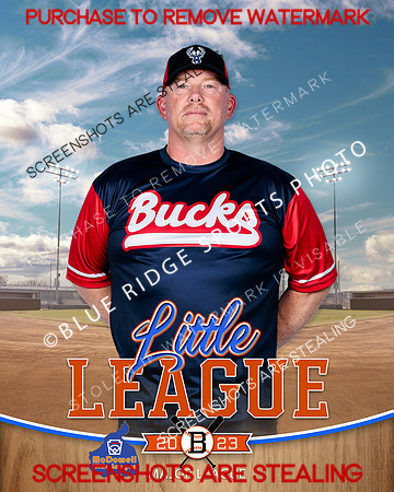 BUCKS.MAJORS.BASEBALL 009 of 12