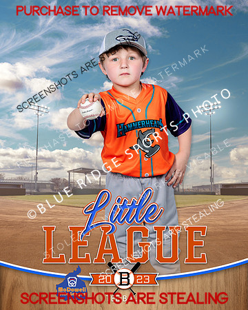 HAMMERHEADS.TBALL 009 of 12