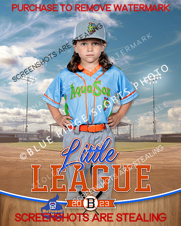 AQUASOCKS.TBALL 012 of 15
