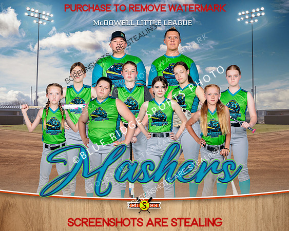 1 mashers