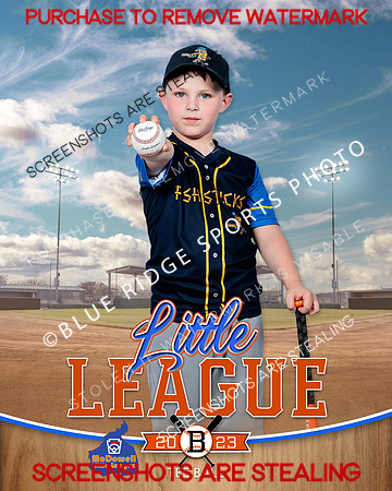 FISHSTICKS.TBALL 013 of 16